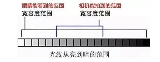 如何拍出透亮的逆光照片