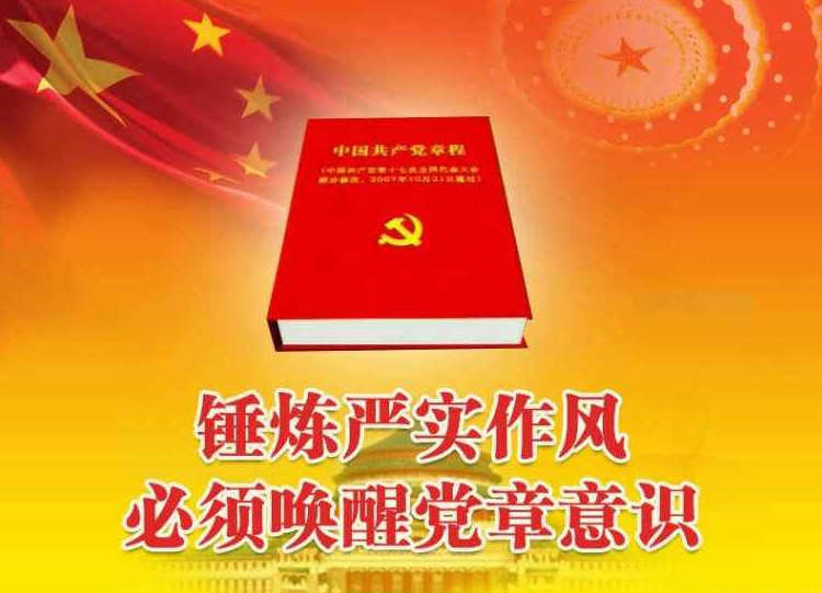 新党章学习经验