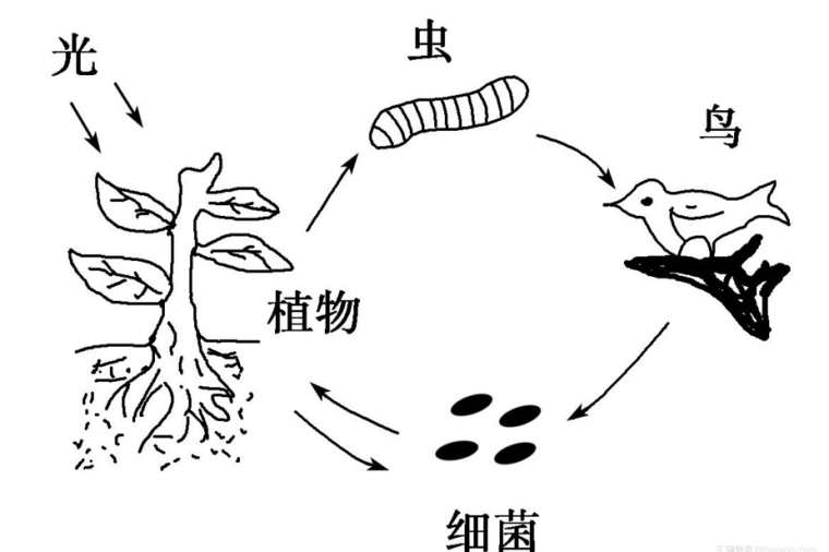 高中生物的学习方法