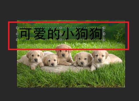 如何用PS给照片加文字