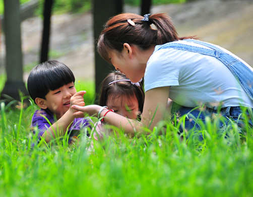 幼儿教育经验交流