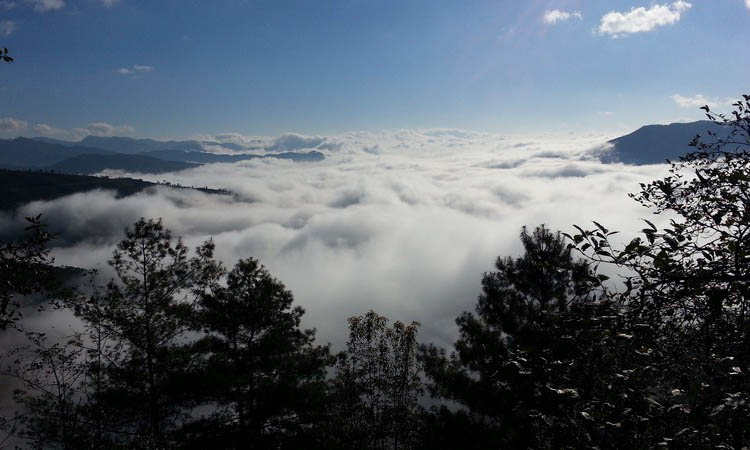 普洱值得一去的十大景点