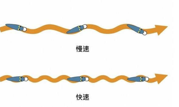 路亚钓法入门教程