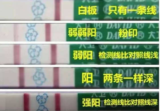 排卵期计算方法