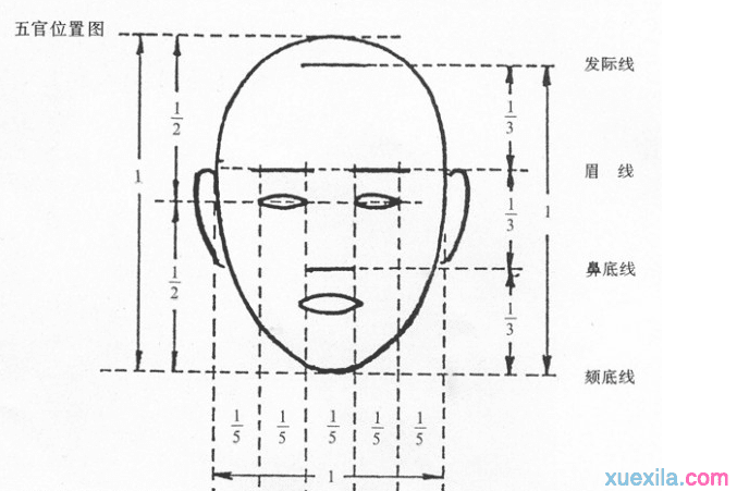 五官結構比例和透視繪畫技法